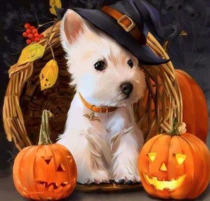 Background Cute Puppy Halloween Wallpaper - Pets Lovers