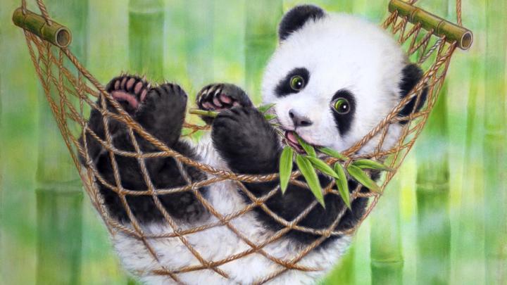 Baby Panda Wallpapers \u00b7\u2460 