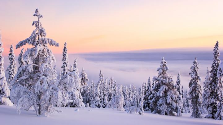 Desktop Background for Mac \u00b7\u2460 