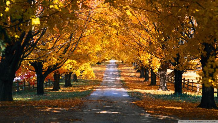 Nature Wallpaper Widescreen Desktop Free HD 4k High Definition Mac 