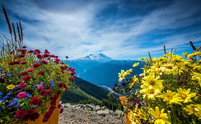 HD Nature Wallpaper Fresh Landscape Desktop Wallpapers For Widescreen 