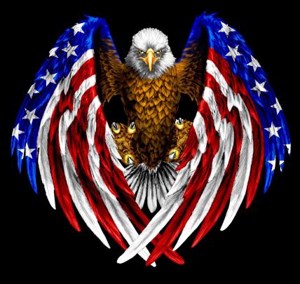 Patriotic Bald Eagle Wallpapers - Top Free Patriotic Bald Eagle 