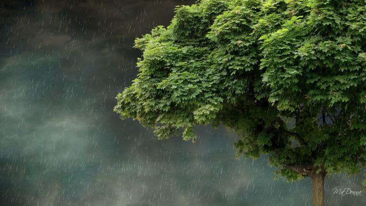 Rainy Desktop Wallpaper (64+ images)