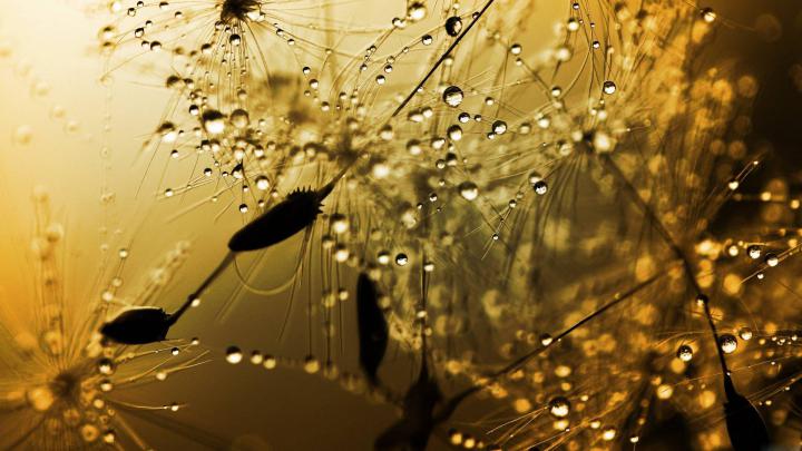 Rain Backgrounds