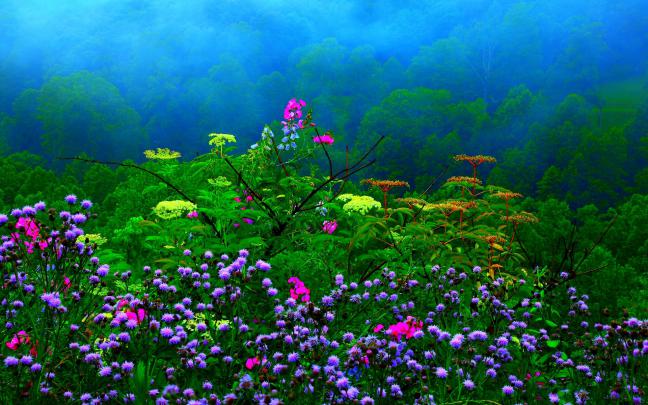 Desktop Wallpapers HD 1920x1200 (74+ images)
