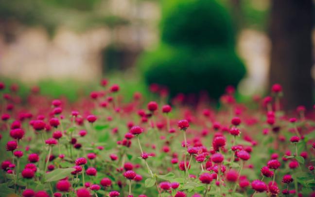 Spring Rain Wallpaper for Desktop (69+ images)