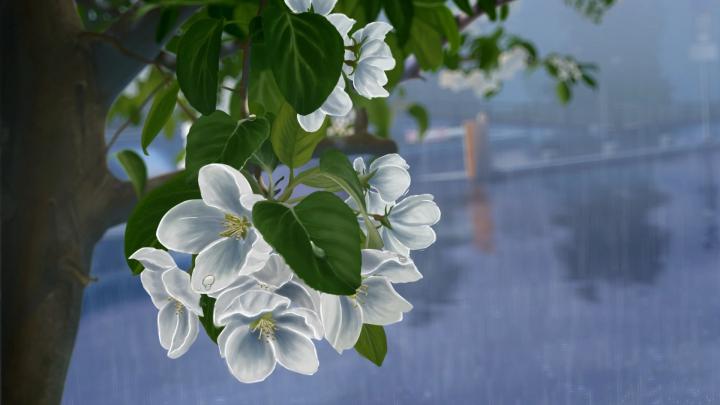 HD Rain Wallpapers (72+ images)