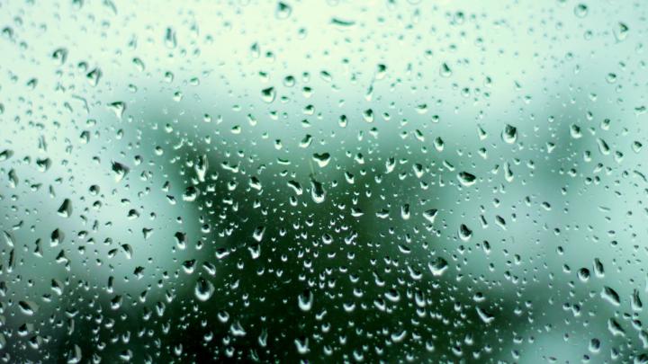 Spring Rain Desktop Wallpaper | Wide Screen Wallpaper 1080p,2K,4K