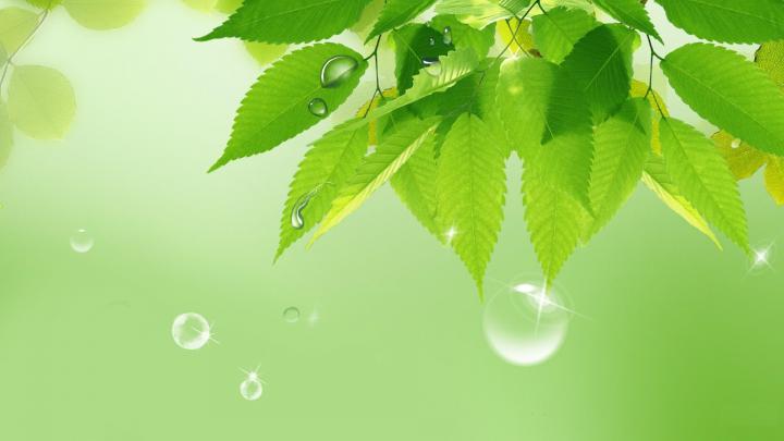 Spring Rain Wallpaper for Desktop (69+ images)