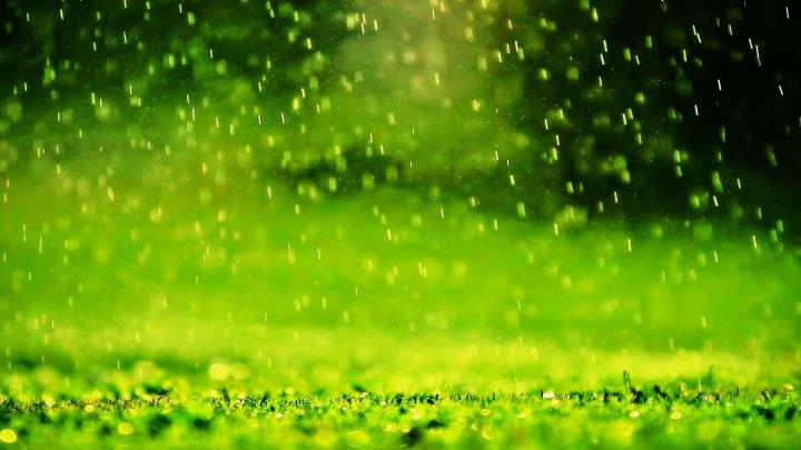 Beautiful Rain Drops Wallpapers with Quotes (52+ images)