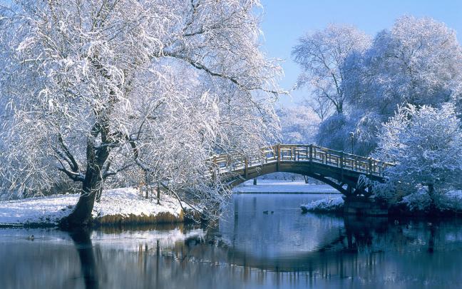 Winter background images \u00b7\u2460 Download free awesome High Resolution 