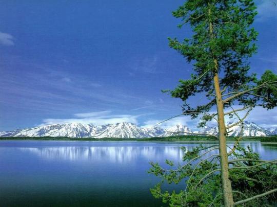 Free download wallpaper zh nature scenes wallpaper [1024x768] for your 