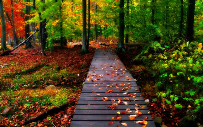 Free download Pc Wallpapers Desktop Backgrounds 1080p Full HD Download 
