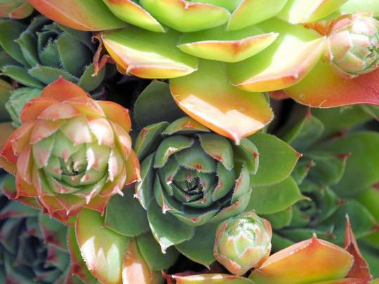 Nature Wallpapers For Desktop Background Full Screen | Flickr