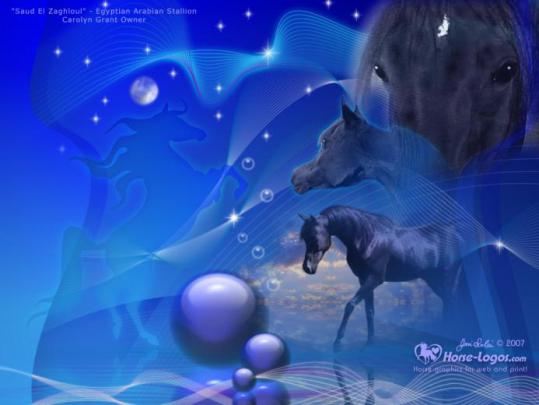 Free download Mooie pc achtergronden leuke hd pc wallpapers 