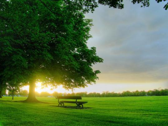 Free download Mooie pc achtergronden leuke hd pc wallpapers 