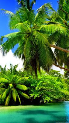 Wallpaper Images Hd Full Screen - Full Screen Hd Wallpapers 80 