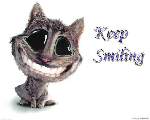 funny wallpapers for desktop - Free Desktop Wallpaper