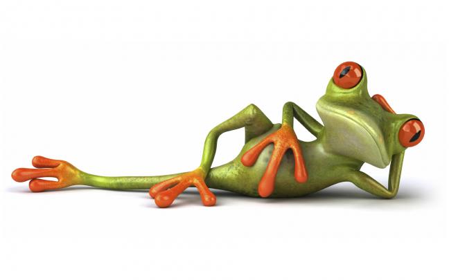 Funny-Wallpaper-Pics-HD-free-for-desktop - HD Wallpaper