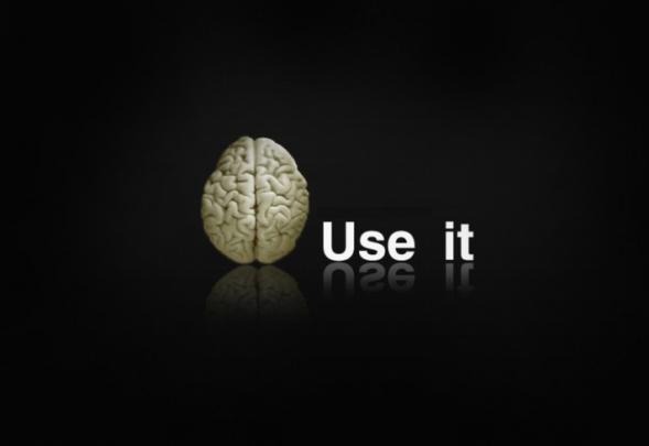 Funny wallpaper - Free Desktop Wallpaper
