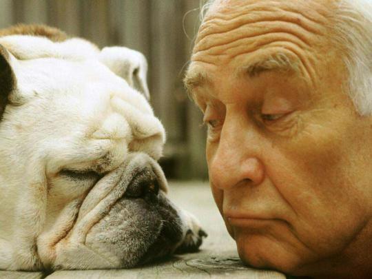 Wallpapers Download: Free Funny Wallpapers For Desktop Background