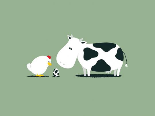 Funny High Resolution Wallpapers 2015 - All HD Wallpapers