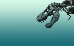 Fossil Wallpaper Desktop
