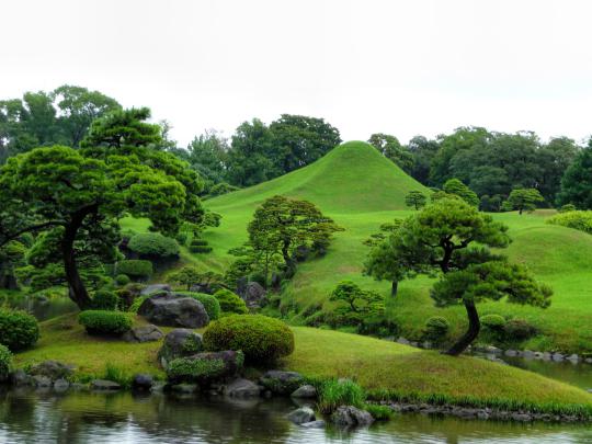 Zen Bonsai Wallpapers - Top Free Zen Bonsai Backgrounds - WallpaperAccess