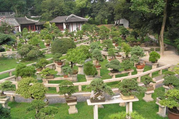 Bonsai Garden Wallpapers - Top Free Bonsai Garden Backgrounds 