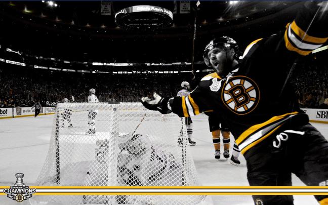 Bruins Wallpapers - Top Free Bruins Backgrounds - WallpaperAccess