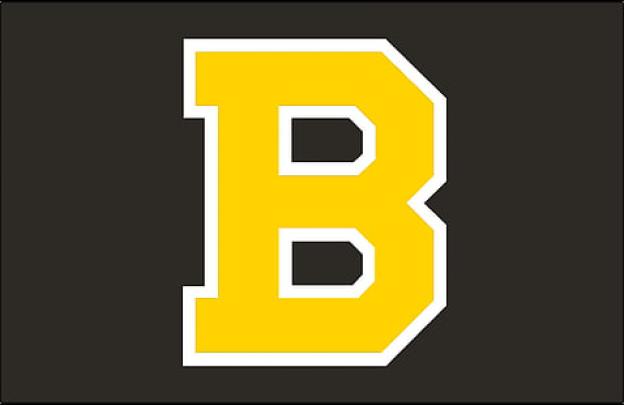 Boston Bruins Wallpaper 1920X1080 - Goimages Data