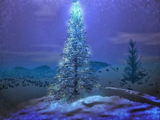 Free download Beautiful Christmas Tree Wallpapers HD Tapandaola111 