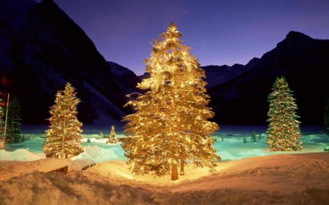 Free download Christmas Tree Wallpaper Widescreen 9314 Hd Wallpapers in 