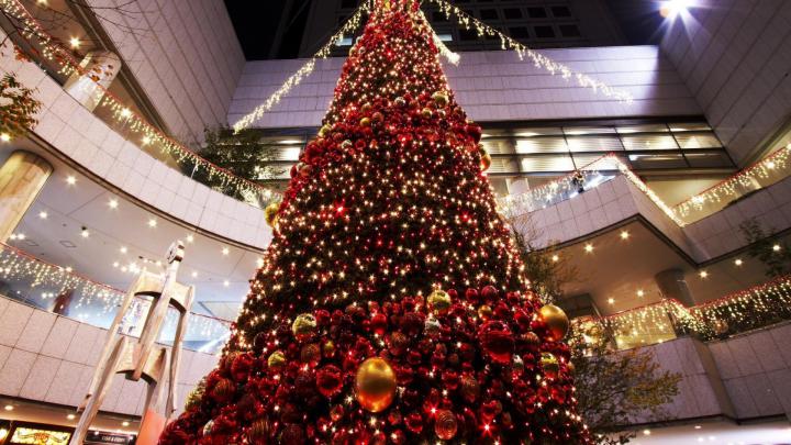 Download Wallpaper 1920x1080 christmas tree, christmas, holiday, toys 