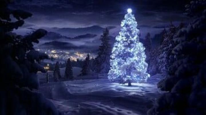 Free download Christmas Tree HD Wallpapers 1920x1080 Christmas 