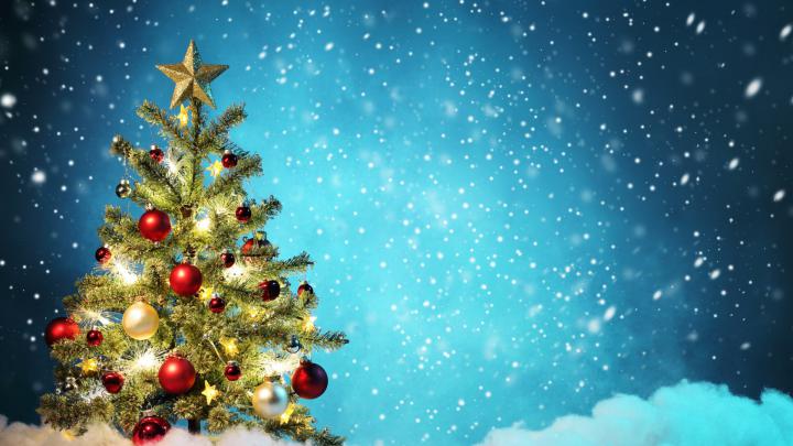 Little Christmas Tree Wallpaper for Desktop