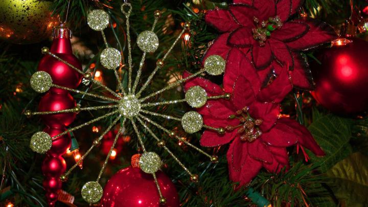 Download Wallpaper 1920x1080 christmas tree, toys, balls, decorations 