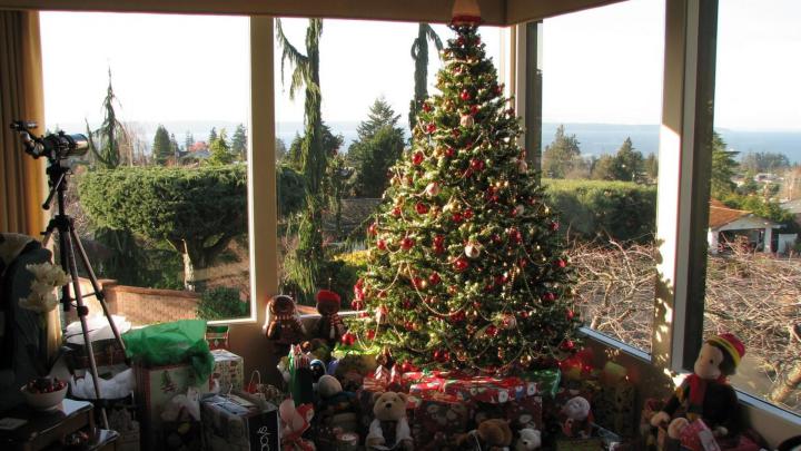 Download Wallpaper 1920x1080 christmas tree, gifts, toys, home, glass 