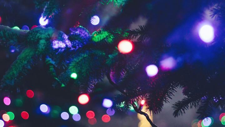 Download wallpaper 1920x1080 christmas tree, garland, lights, glare 