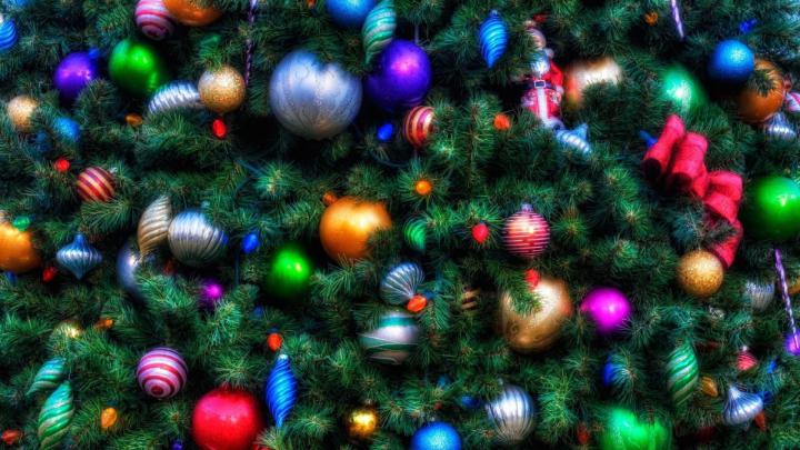 Christmas Tree Wallpapers HD (71+ images)