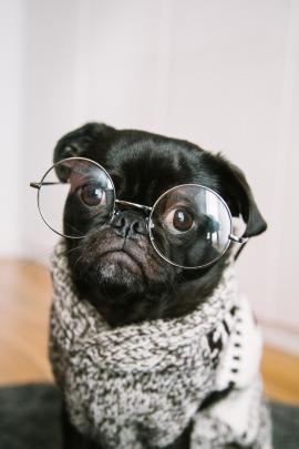 Cute Cartoon Dog Desktop Wallpapers - 4k, HD Cute Cartoon Dog Desktop 