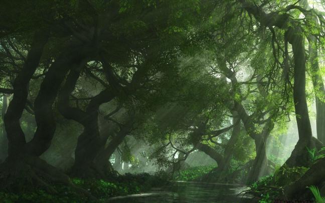 Green Forest Wallpapers - 4k, HD Green Forest Backgrounds on WallpaperBat