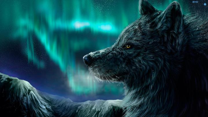 Wolf Gaming Wallpapers - Top Free Wolf Gaming Backgrounds - WallpaperAccess