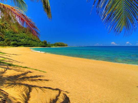 Free Hawaii Desktop Wallpapers