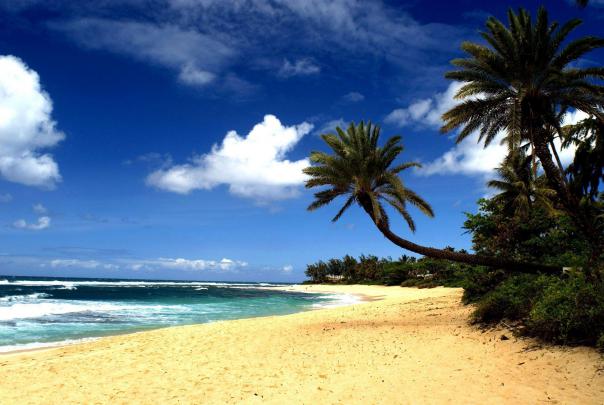 Free Hawaii Desktop Backgrounds