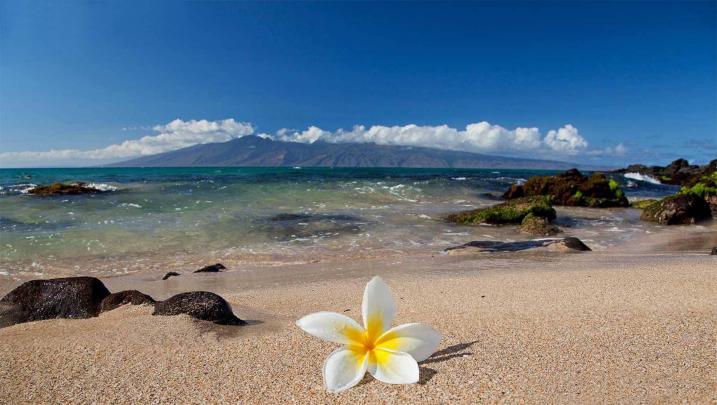 Maui Hawaii Desktop Wallpaper (47+ images)