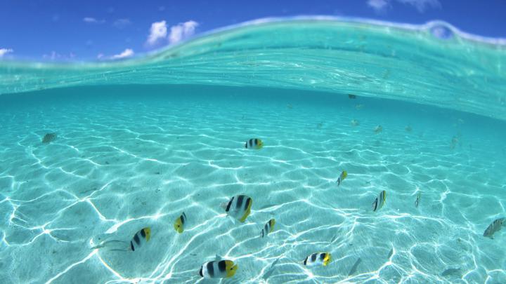 Hawaii Wallpapers, Pictures, Images