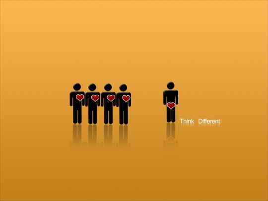 Some Funny HD Wallpaprs \u0026 Backgrounds (High Quality) - All HD Wallpapers