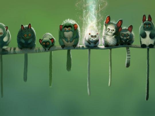 Best Desktop HD Wallpaper - Funny Wallpapers