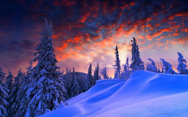snow, Landscape, Trees Wallpapers HD \/ Desktop and Mobile Backgrounds